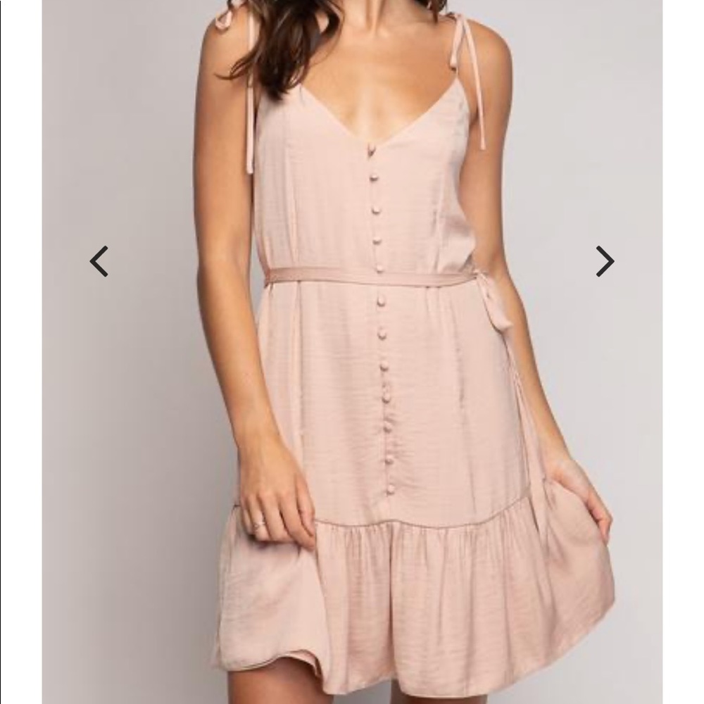 Naked zebra dress NWT